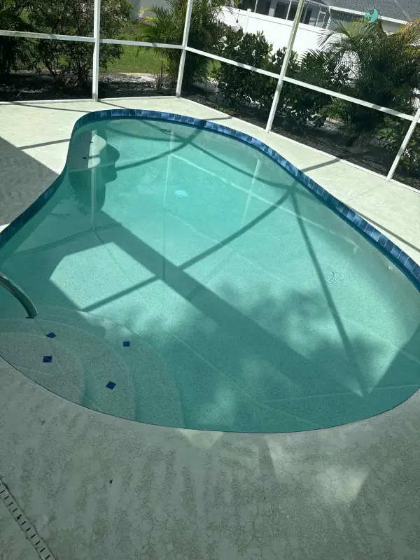 Professional Pool Cleaning Service
